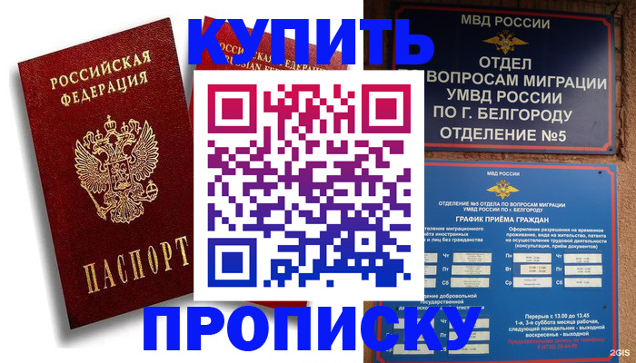 прописка иностранных граждан в Бородино